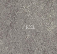 Линолеум Forbo Marmoleum Marbled Real 2629 Eiger фото 1 | FLOORDEALER